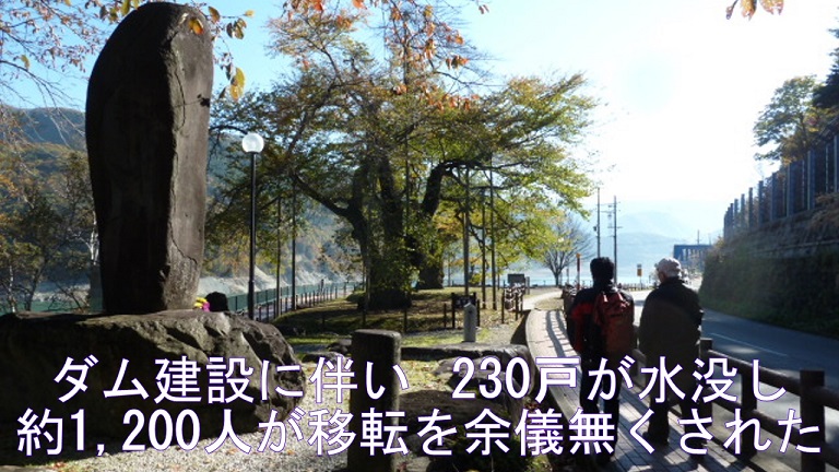 イメージ 7