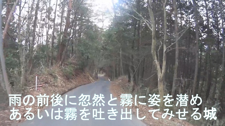イメージ 15