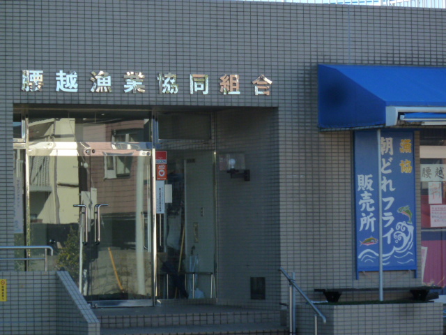 イメージ 40