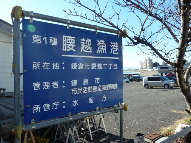 イメージ 50