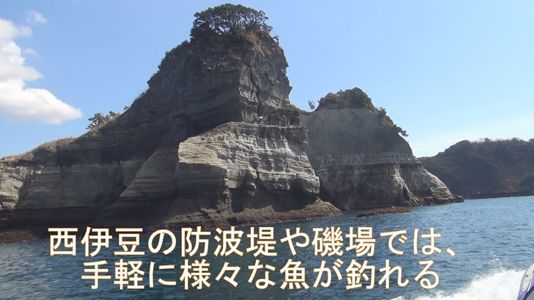 イメージ 12