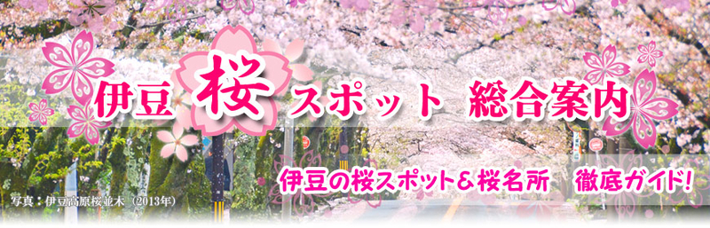 イメージ 39