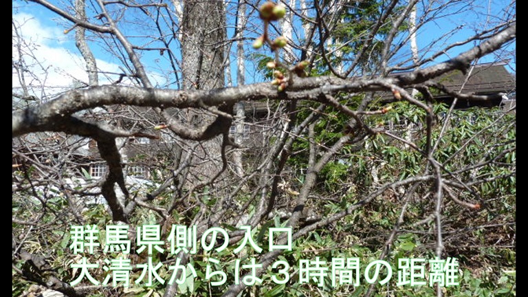 イメージ 11
