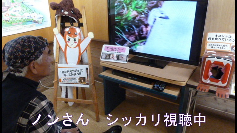 イメージ 14