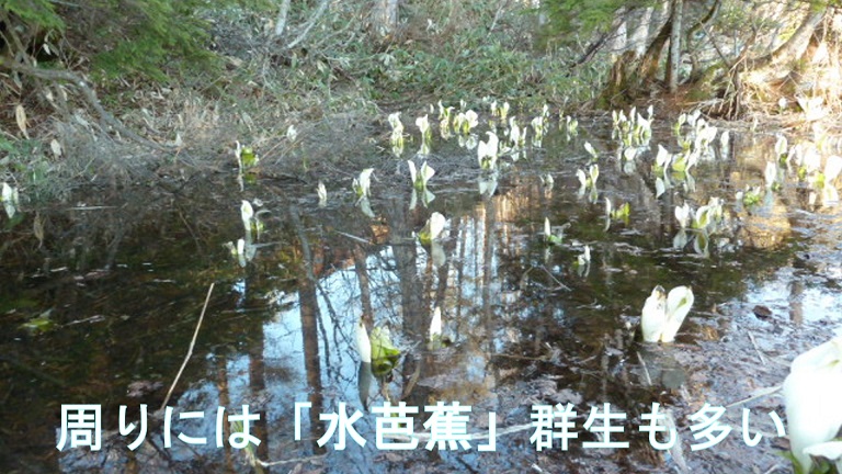 イメージ 20