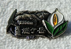 イメージ 31