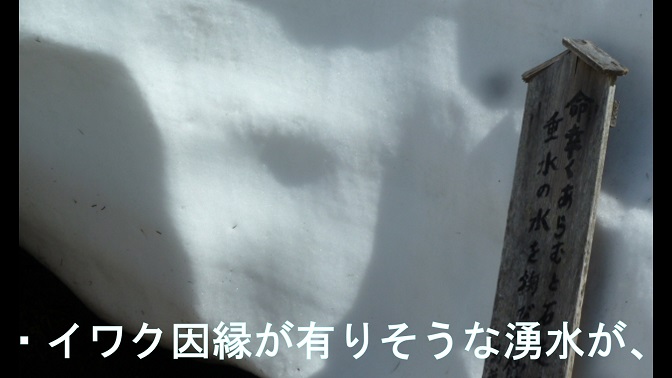 イメージ 18
