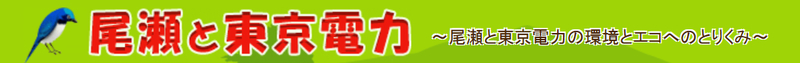 イメージ 39