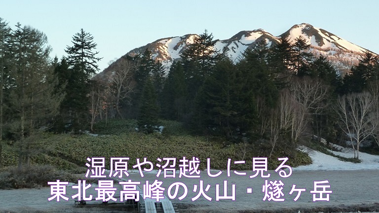 イメージ 17