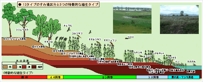 イメージ 47