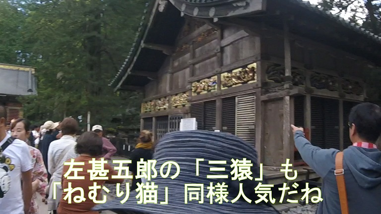 イメージ 11