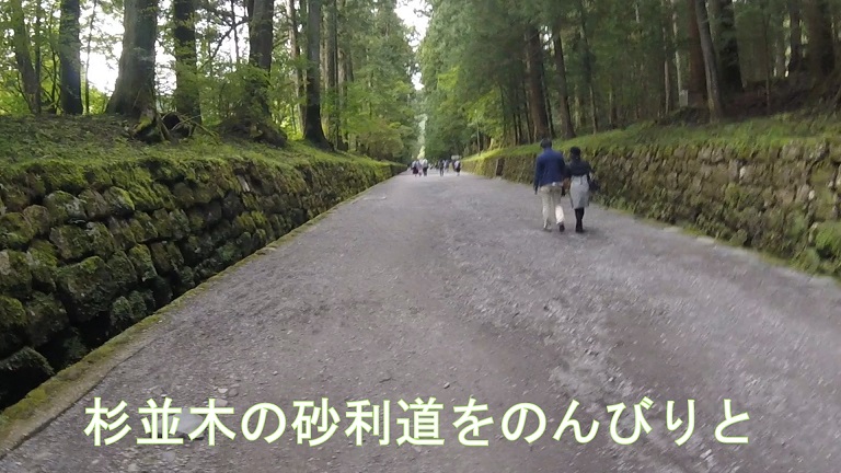 イメージ 12