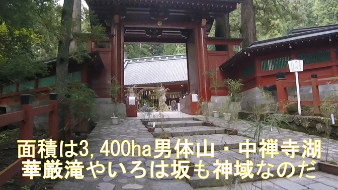 イメージ 16