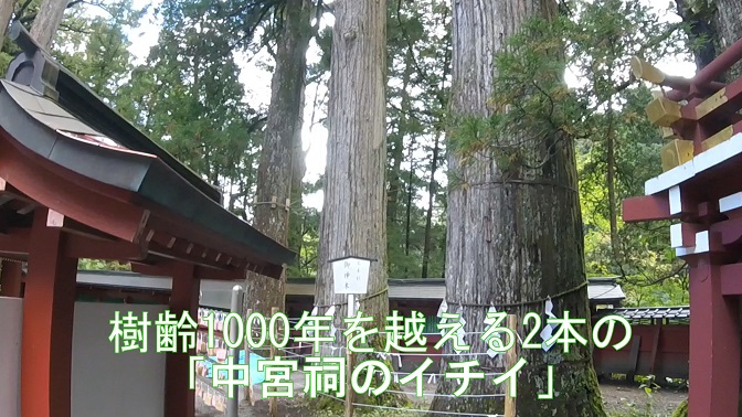 イメージ 20