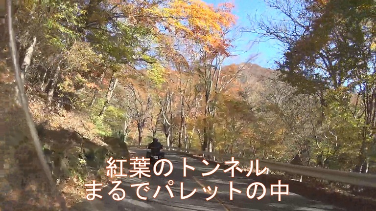 イメージ 48