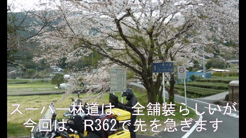 イメージ 14