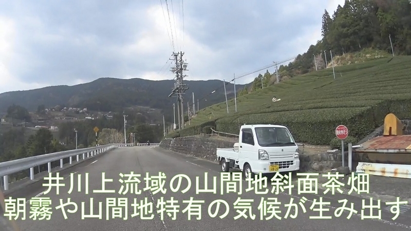 イメージ 17