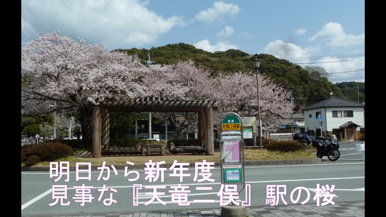 イメージ 26