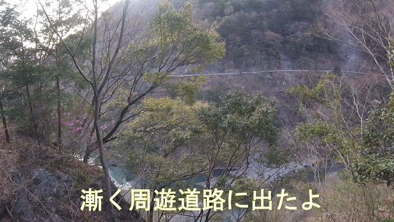 イメージ 14