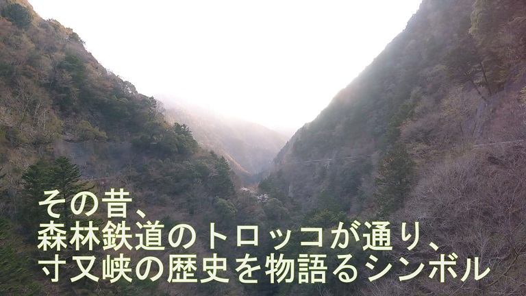イメージ 19
