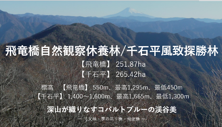 イメージ 23