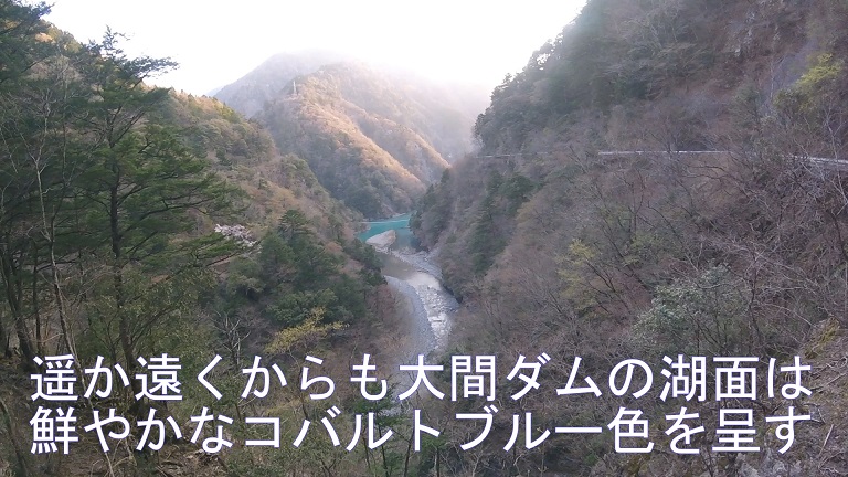 イメージ 24