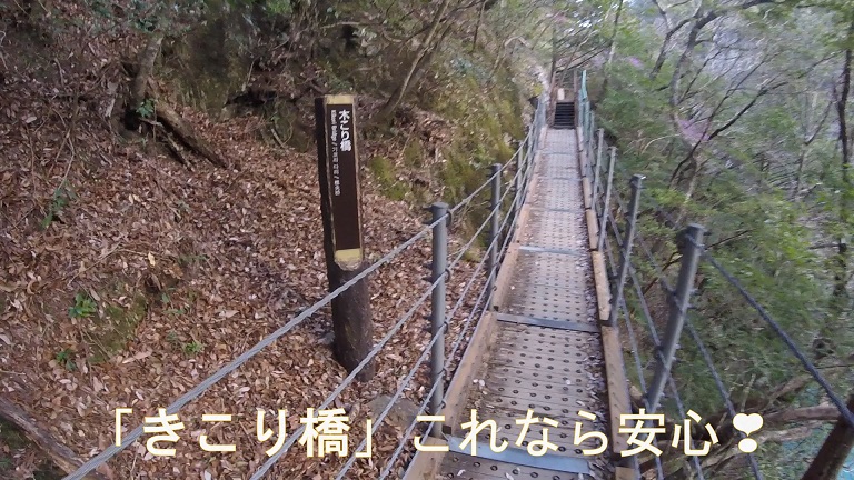 イメージ 7