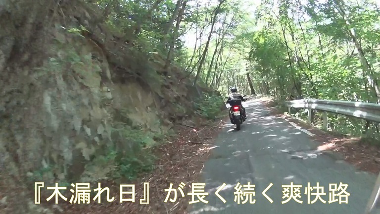 イメージ 11