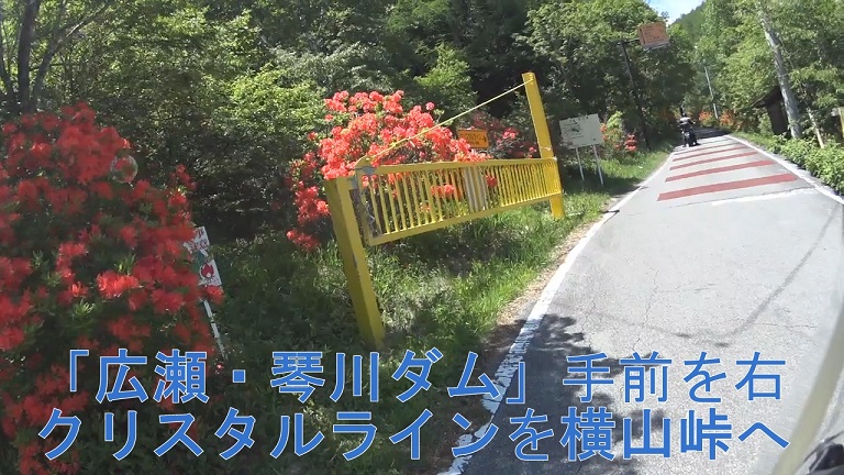 イメージ 5