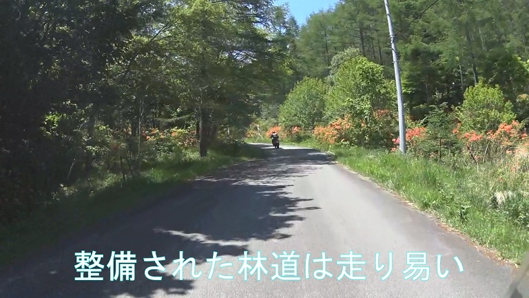イメージ 6