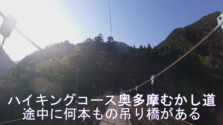 イメージ 13