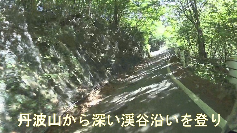 イメージ 27
