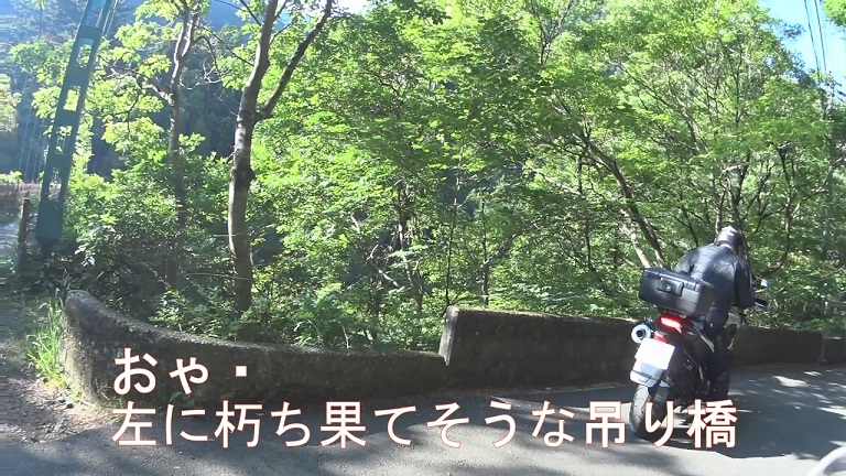 イメージ 7