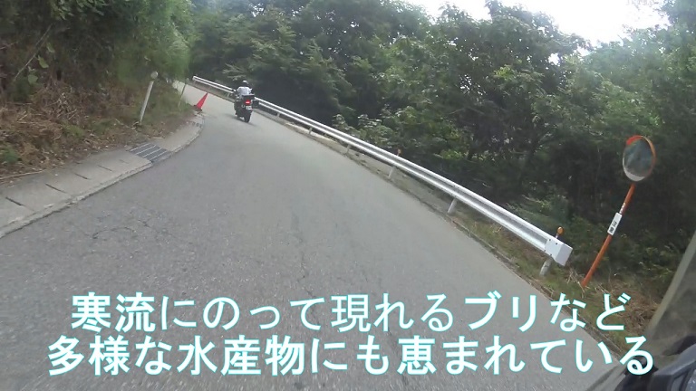 イメージ 11