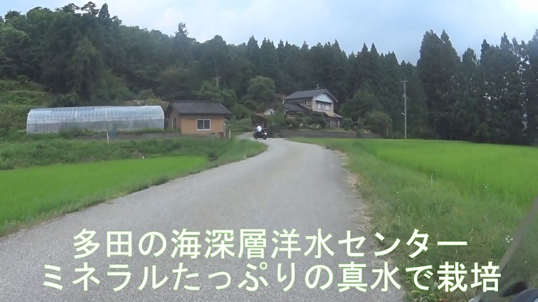 イメージ 16