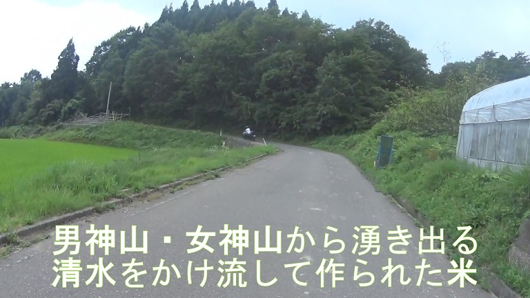 イメージ 17