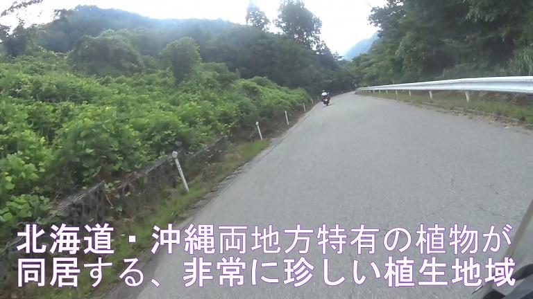 イメージ 9