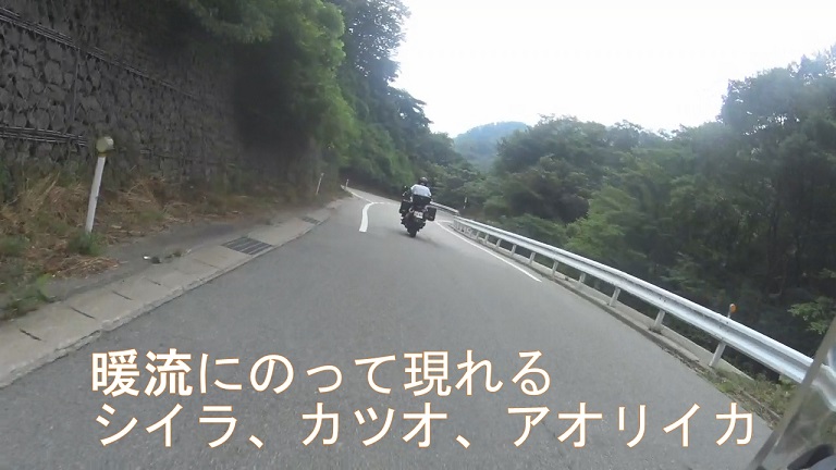 イメージ 10