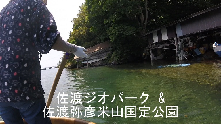 イメージ 17