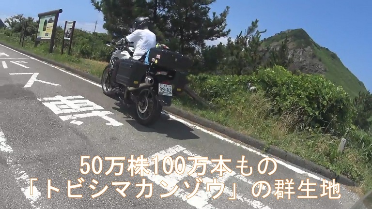 イメージ 31