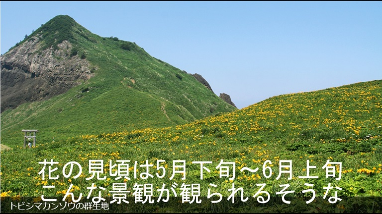 イメージ 32