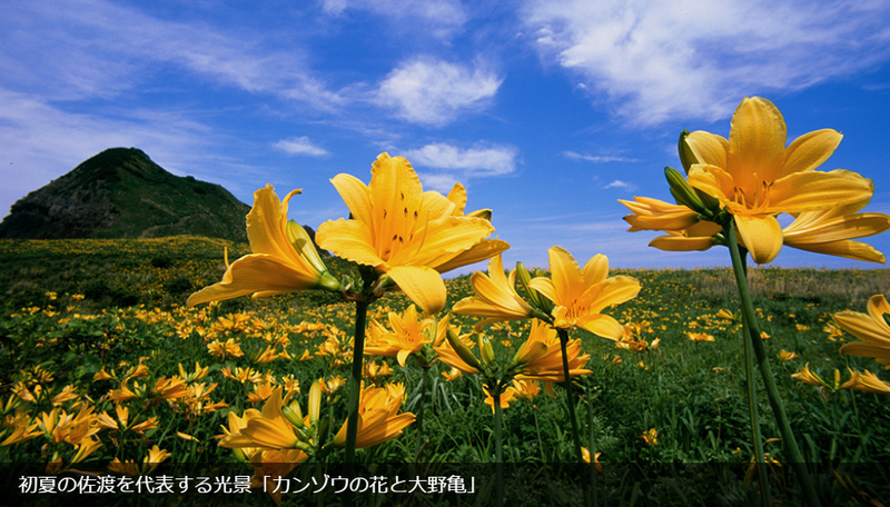 イメージ 43