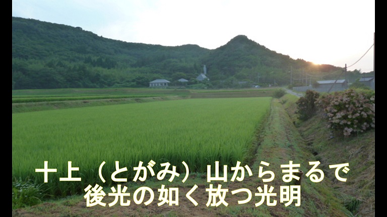 イメージ 30