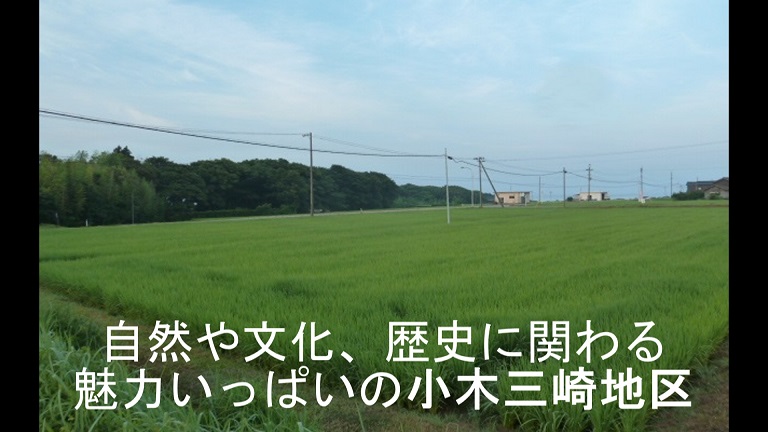 イメージ 31