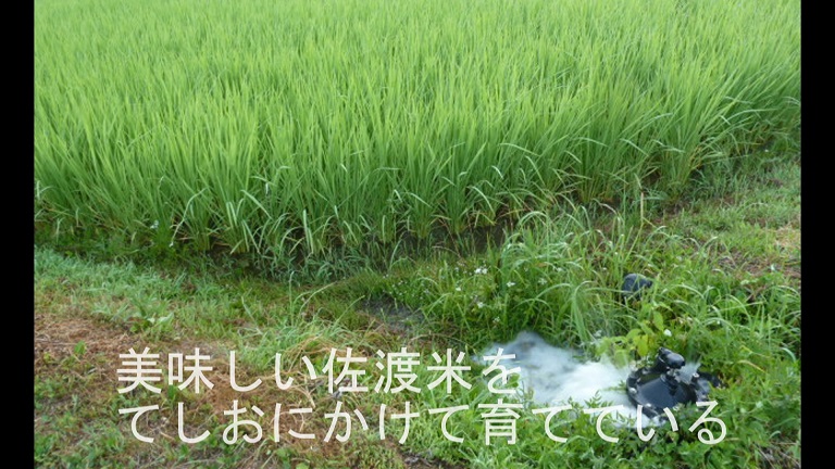 イメージ 32