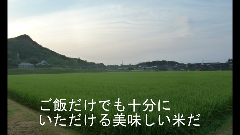 イメージ 33