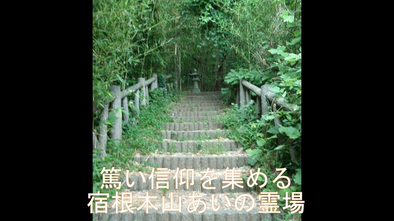 イメージ 36