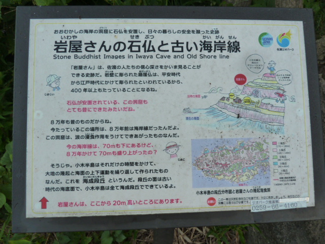 イメージ 45