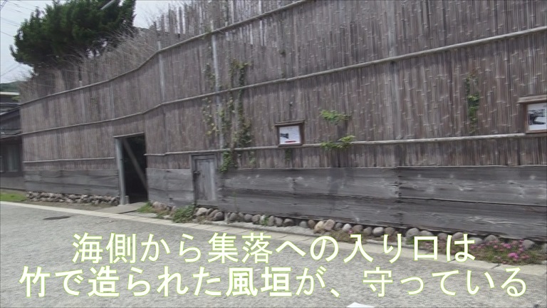 イメージ 13