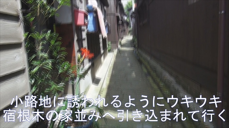 イメージ 15